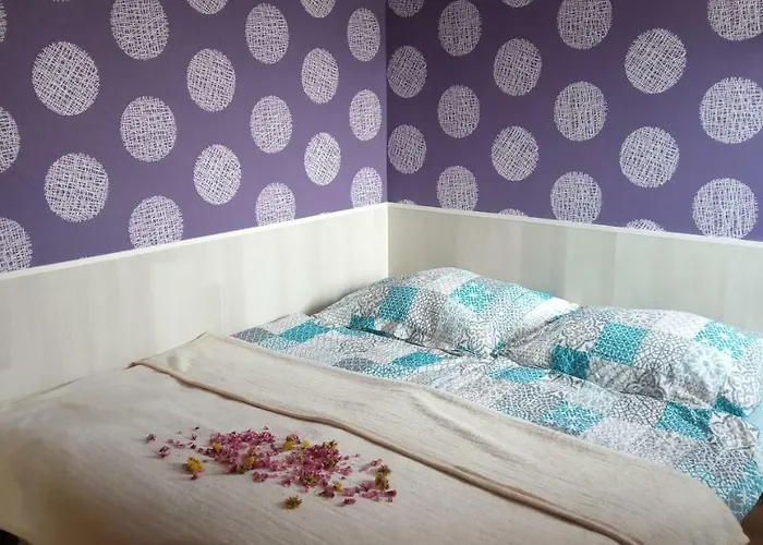 Malnas Szallas מוטל